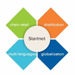 广州市启网软件 专业软件技术服务，赋能企业数字化转型